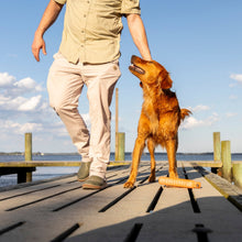 Load image into Gallery viewer, Dixie Decoys Dock Pant-Khaki