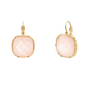 Load image into Gallery viewer, Simone Jewel Earrings
