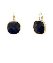 Load image into Gallery viewer, Simone Jewel Earrings
