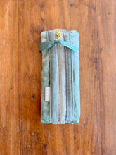 Load image into Gallery viewer, Madly Rich Book Buddy - Blue/Green Velvet
