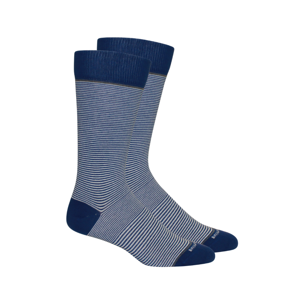 Brown Dog Stand Up Stripe - Royal/White